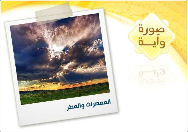 �������� ������ + ������ ������ ��������