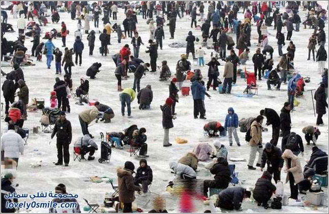 ���: ���� ��� ����� �� �����