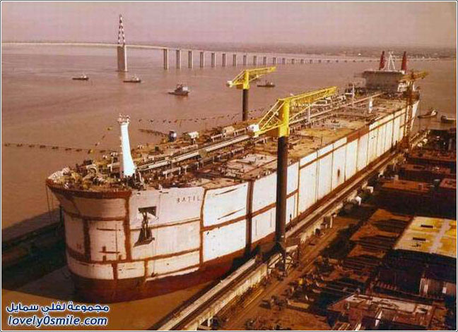 ��� ���� �������� ��������