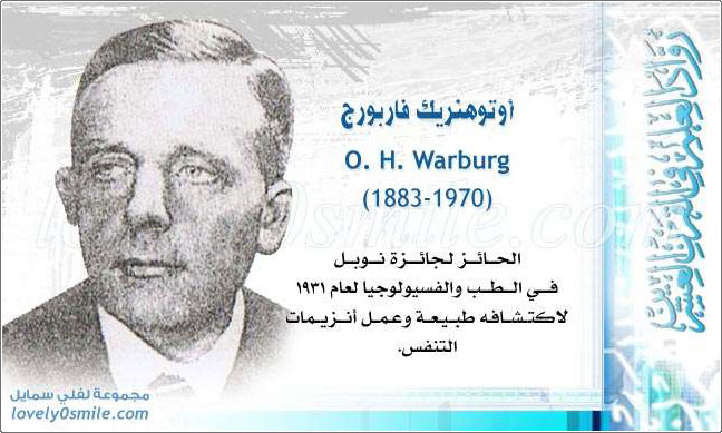   O. H. Warburg