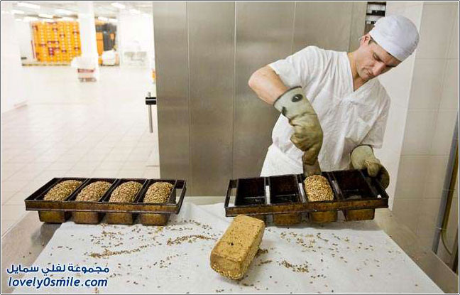 ��� ������� ������� ������ ��������