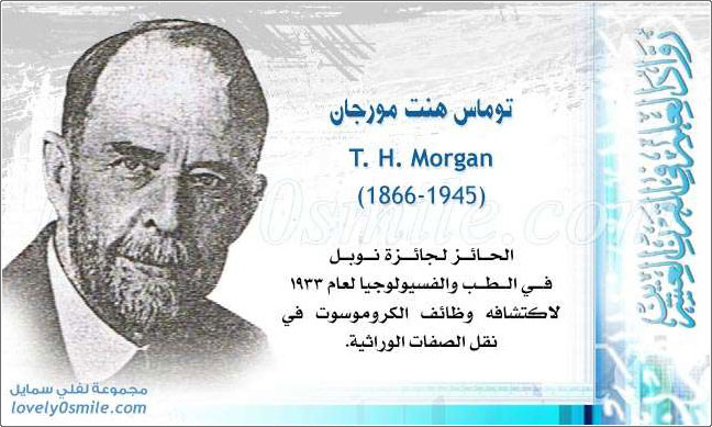    T. H. Morgan