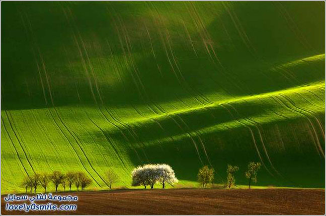 ������ ������� �� ������