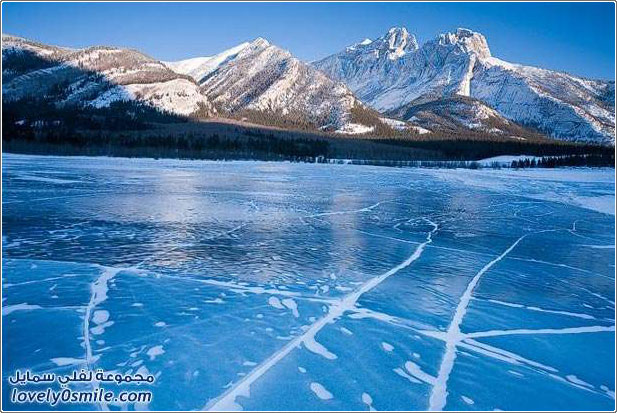 ��� ������ ������ �� ����