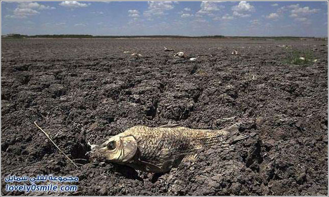 الجفاف الرهيب غير المسبوق في ولاية تكساس