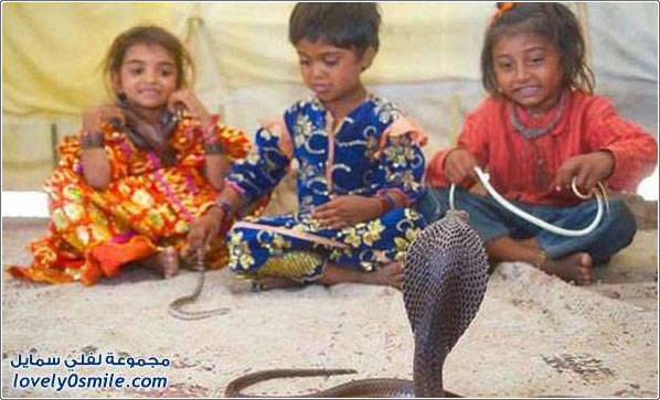 الأطفال أصدقاء الثعابين في الهند