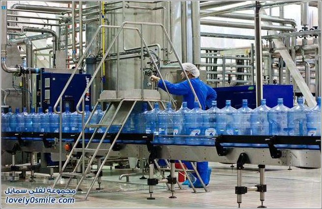 ���� ���� �� ����� ������ ������ ������� �� ����� ���������