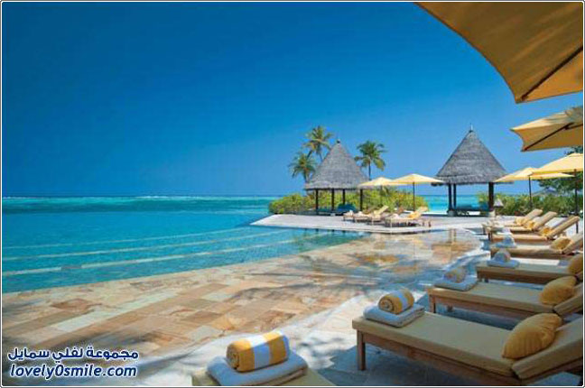 ����� ��� ������ �� ��� ��������