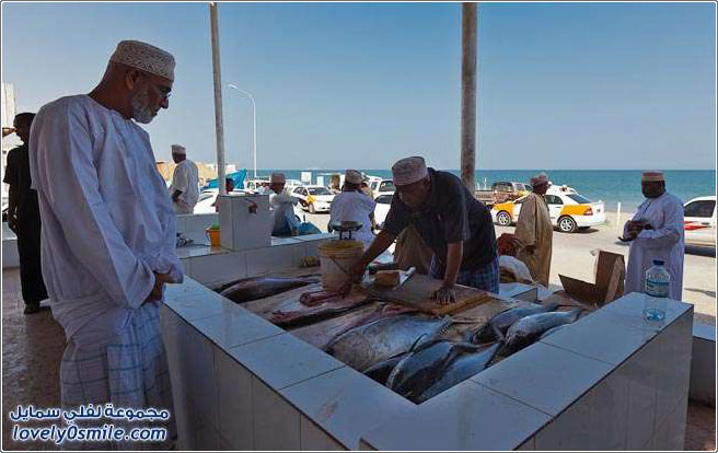 صور من سوق السمك في عمان