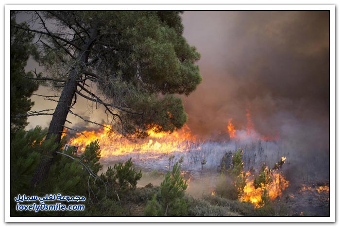 حرائق غابات أسبانيا