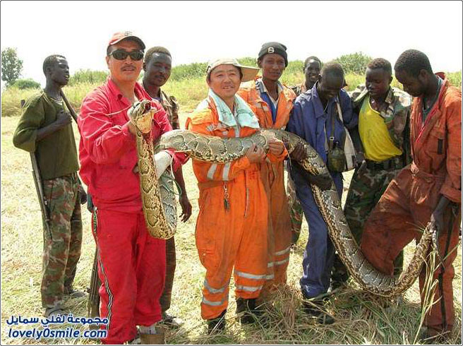 ��� �� �������