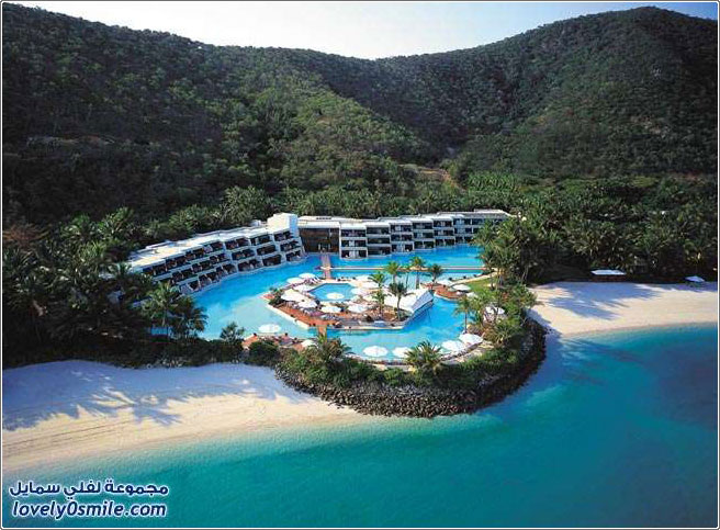 ���� ������ �� ��������