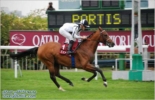 ������� ��������