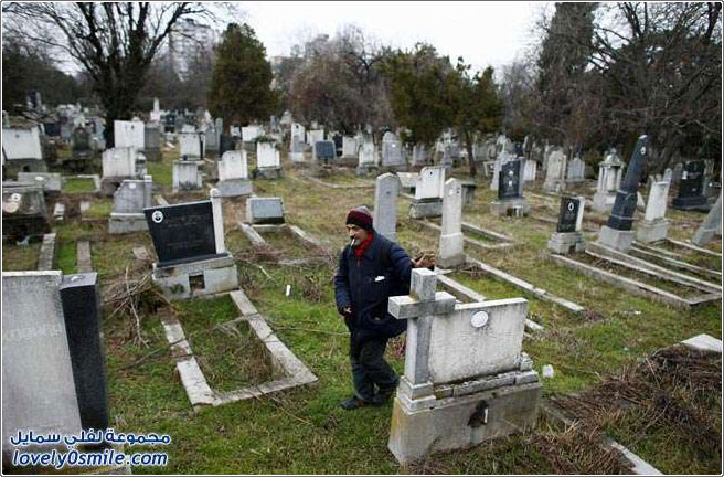 ������ ��� ������