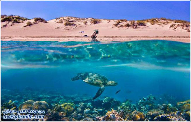 ��� �� ������ ���� �������� ����� ������������ 2013