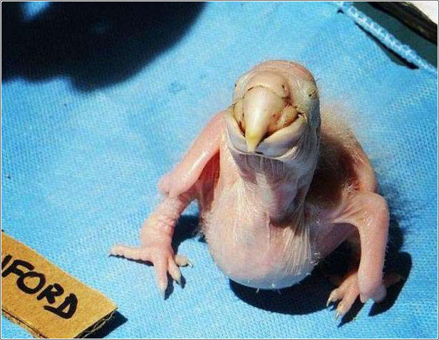 ����� �� �� ��� �����ѿ