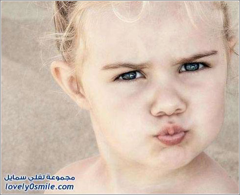 ��� ����� �6