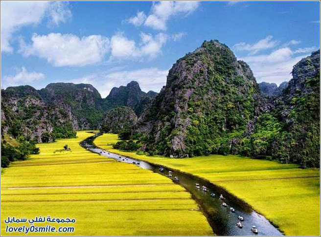 جبال كارست وحقول الأرز في كوك تام، فيتنام