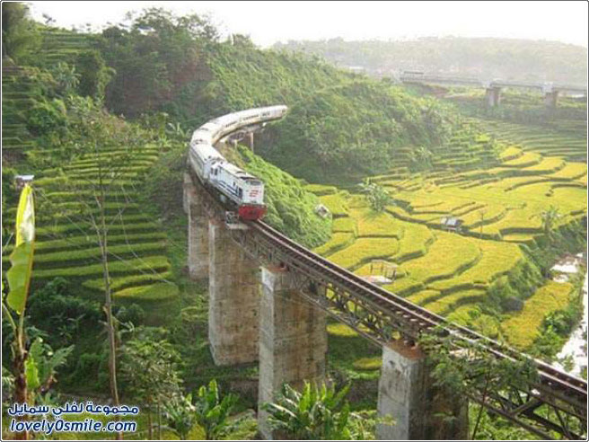 ��� ����� �������� ��� �������