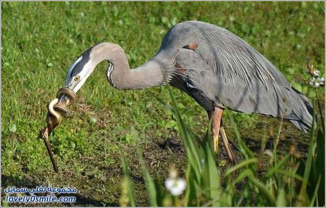 �� ���� �� ������� �� ��� �����ɿ