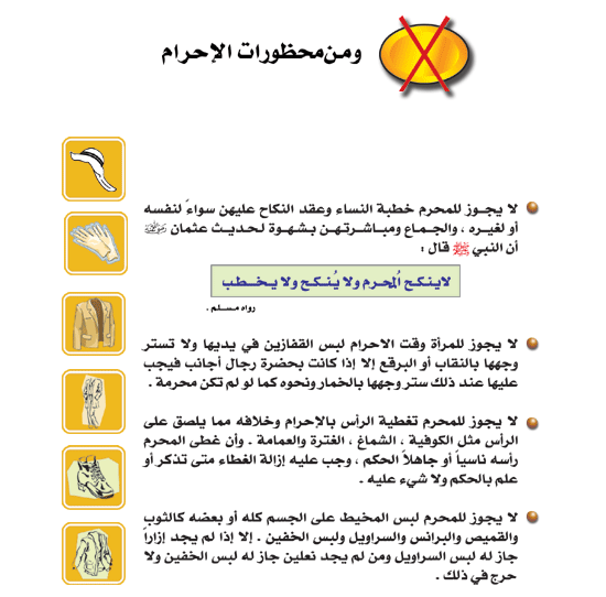  Egypt.Com - ������� ���