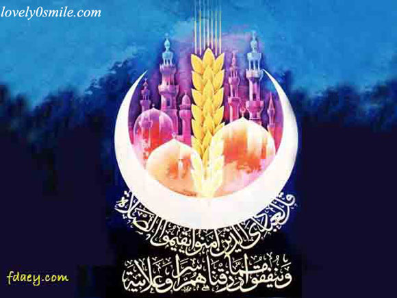 المجموعة رقم  204