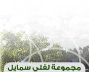 وسائط : الأماني حلم في يقضة , من نظر في عيبه