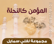 وسائط : الأماني حلم في يقضة , من نظر في عيبه