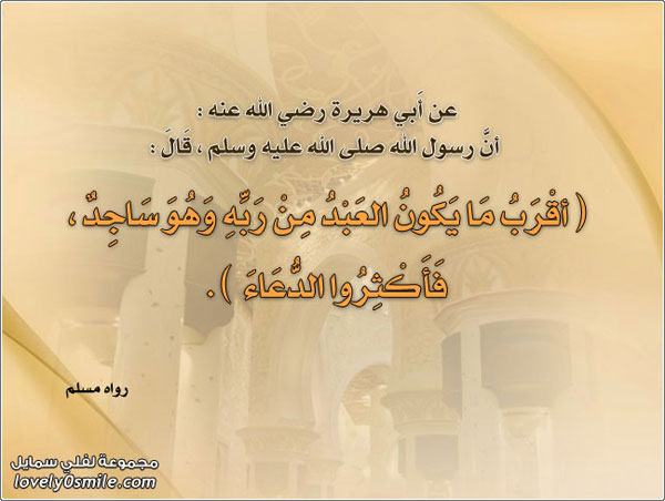 ���� �� ���� ����� �� ��� ��� ���� ������� ������