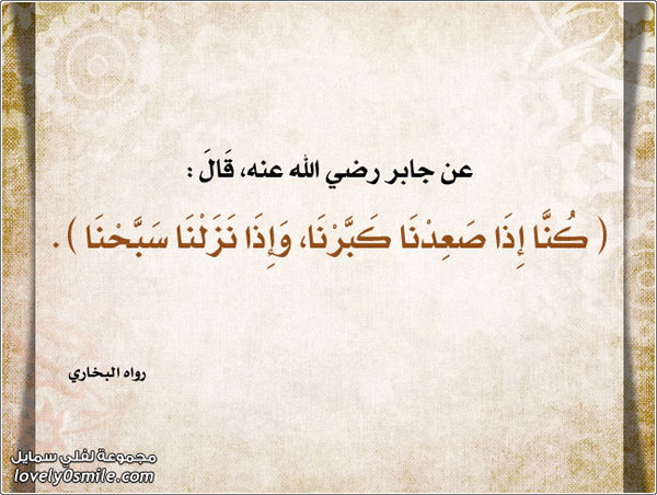 ��� ��� ����� ����� ���� ����� �����