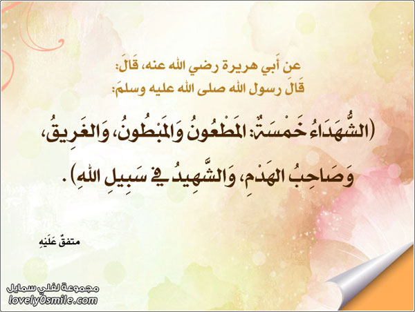 ������� ����: ������� �������� ������� ����� ����� ������� �� ���� ����