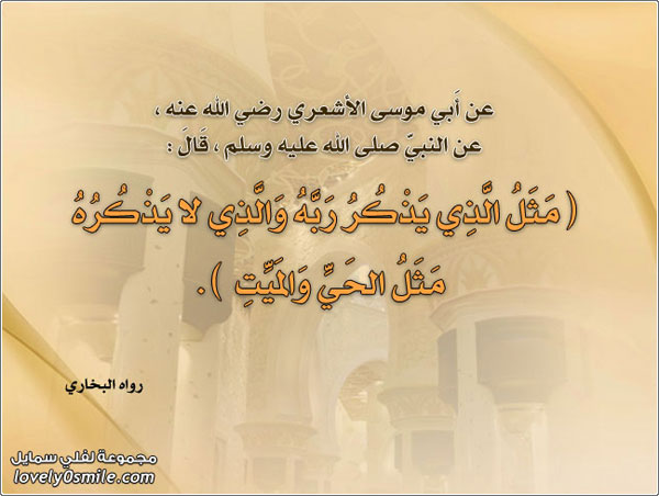 ��� ���� ���� ��� ����� �� ����� ��� ���� ������