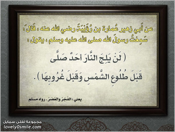 �� ��� ����� ��� ��� ��� ��� ����� ���� ������