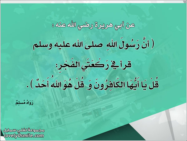 �� ���� ���� ��� ���� ���� ���� ��� �� ����� ����� �� �� ���� �������� � �� �� ���� ���