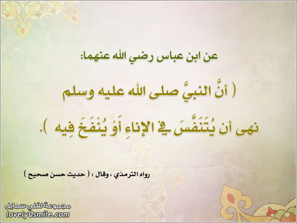 �� ����� ��� ���� ���� ���� ��� �� ������ �� ������ �� ����� ���