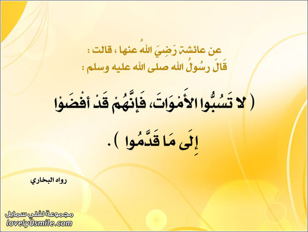 �� ����� ������� ����� �� ����� ��� �� �����