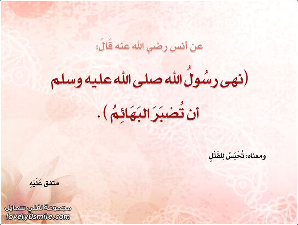 ��� ���� ���� ��� ���� ���� ���� �� ����� �������