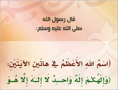      :(        ),   :(       ).