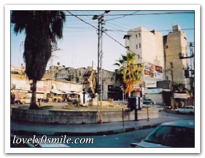 جولة في مدن فلسطين - صور