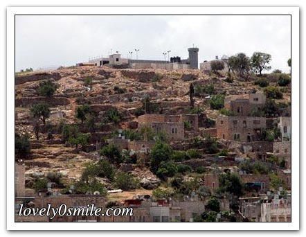 جولة في مدن فلسطين - صور