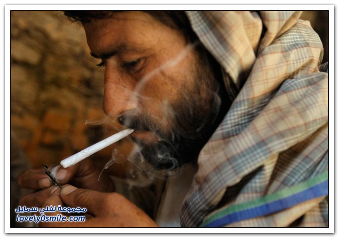 صور: التقرير العالمي للأمم المتحدة عن المخدرات 2009