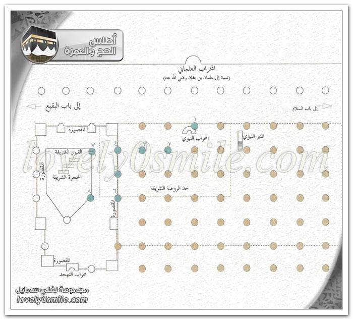 المحراب النبوي + قباب المسجد النبوي