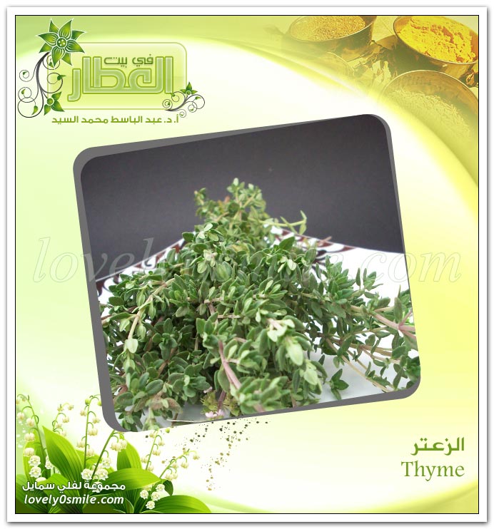  - Thyme