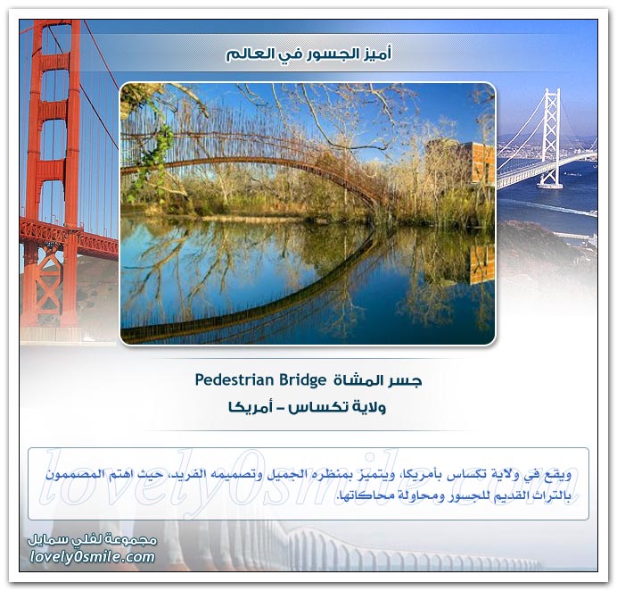 أميز الجسور في العالم