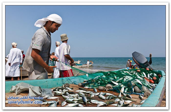 سوق السمك في الخبر