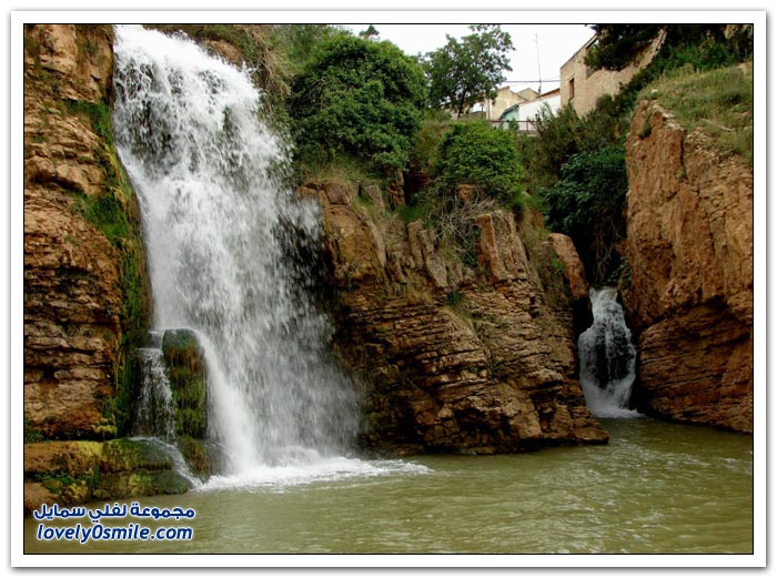 ��� ����� �������� ��� ������ �2