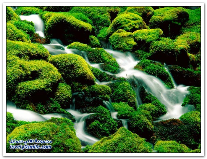 ��� ����� �������� ��� ������ �2