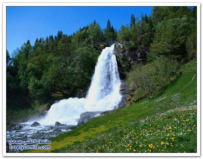 ��� ����� �������� ��� ������ �2