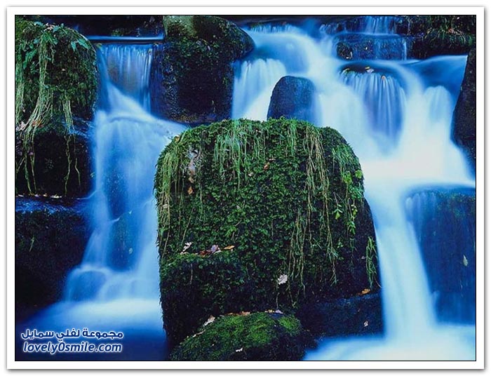 ��� ����� �������� ��� ������ �2