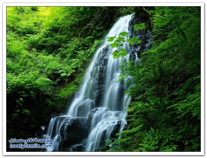 ��� ����� �������� ��� ������ �2